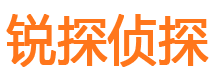 大丰侦探公司